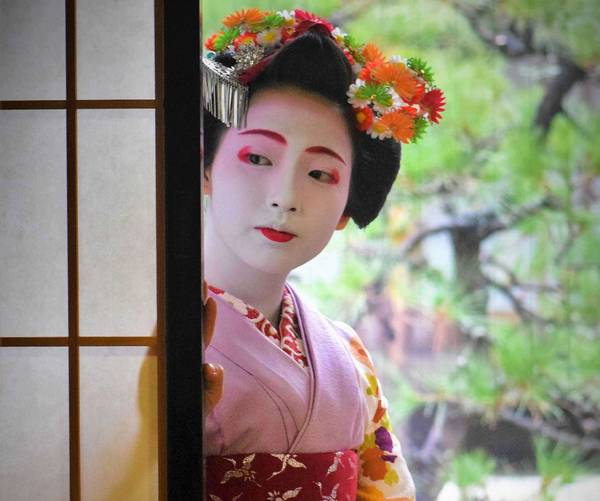 Viaje a Japón · Abril 2027